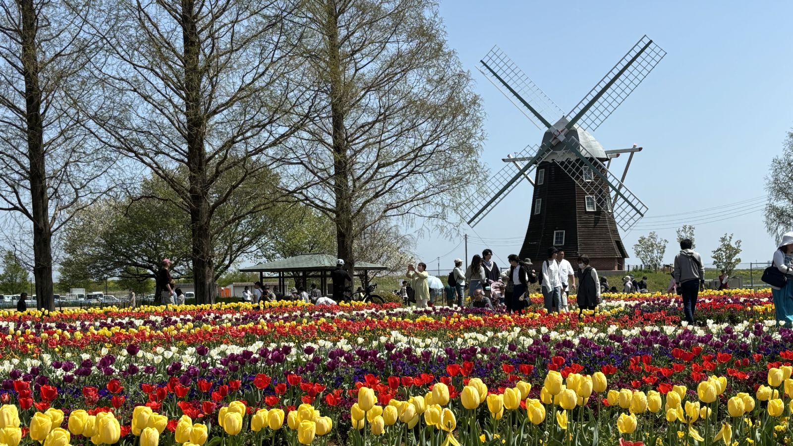 あけぼの山農業公園
